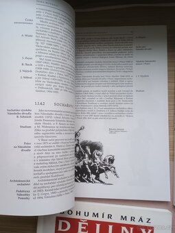 Dějiny výtvarné kultury učebnice 1-4 - 4