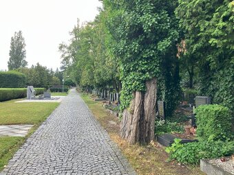 Urnový hrob Olšany - 4