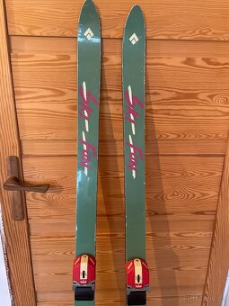 Lyže 170 Artis + hůlky 125 cm - 4