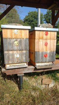 Včelstva (6) - včely s úly 39 x 24 cm - 4