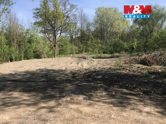 Prodej zahrady, 1274 m², Přerov - 4