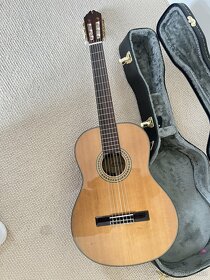 Akustická kytara Washburn C80S s pouzdrem - 4