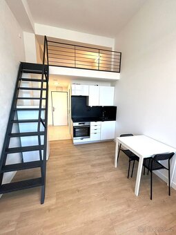 byt (loft) 1+kk, 30m2 v ul. Poděbradská, Praha 9 - Vysočany - 4