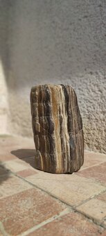 Zkamenělé dřevo – nález Žatecko, 4 kg, pěti barevné - 4