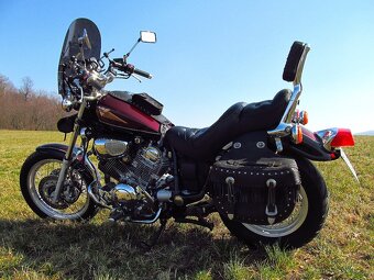 Virago 750 - 4