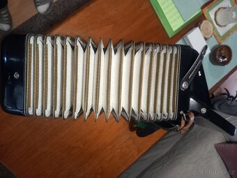 Akordeon DELICIA - MELODIA VIII - 4