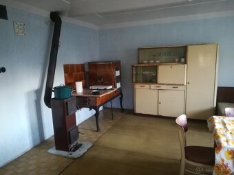 Prodej zemědělské usedlosti Březí,parcela 6658m2 - 4