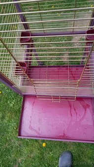 Klec pro papouška - 4