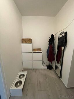 Pronajmu byt 3+1 - 4