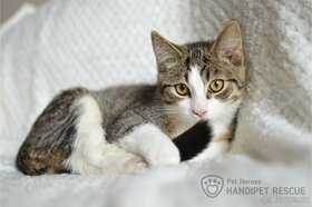 Lumity ❤ největší mazel ❤ - 4