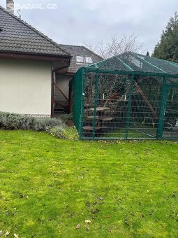 Prodám velkou ocelovou voliéru pro kočky či jiná zvířata - 4