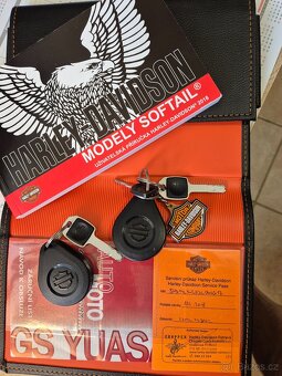 Harley Davidson fxfbs Softail Fat Bob 114 - 4