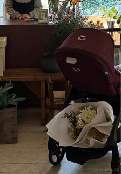 Bugaboo Dragonfly - 4