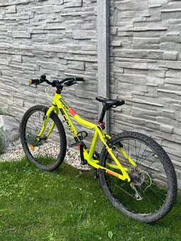Dětské kolo Corre Nipper Ultalight 24 1x8 - 4