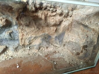 akvárium, terárium - 4