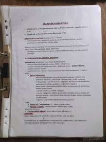 Literatura k maturitě, pracovní sešity - 4