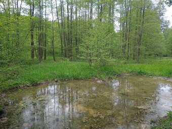 Prodej podílu 1/3 na LV 559 - 2.2 ha galerie v Liberci - 4