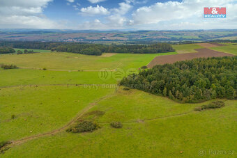 Prodej louky, 5715 m², Spálené Poříčí - 4