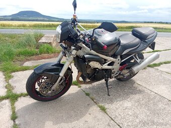 Suzuki TL 1000 S - 4