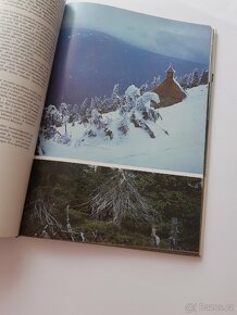 Kniha - Nashledanou v Jeseníkách - 4