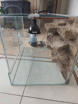 Terarium - 4