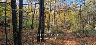 Prodej lesa 27 814 m², Morávka, ev.č. 00984 - 4