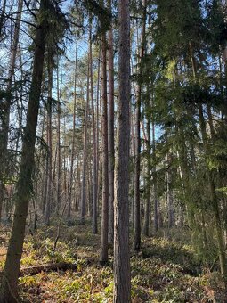 Prodám pozemky v katastrálním území Nemějice - 4