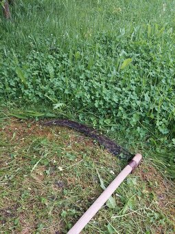 Domácí seno pro mazlíčky - 4