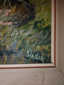 Obrazy, akvaristika - 4