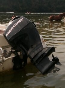 Prodám lodní motor MERCURY 60 EFI - 4