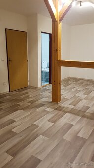 Pronájem apartmánu v centru Břeclavi - 4