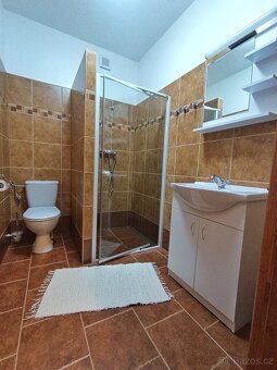 Pronájem 1+kk, Medlov, Brno - venkov - 4