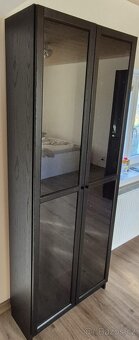 IKEA knihovna BILLY / OXBERG - 4