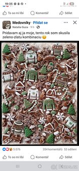 Český teplokrevník - 4