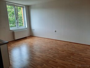 Pronájem bezbariérového bytu 1+kk 29 m² Ryžoviště - 4