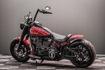 2021 Harley Davidson Softail Custom - 4