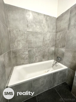 Pronájem nově zrekonstruovaných bytů 1+kk se zahradou a park - 4