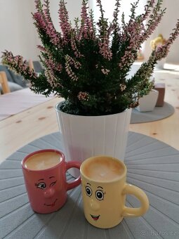 Pronájem domu v Harrachově - 4