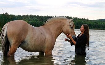 Pronájem valacha - 4