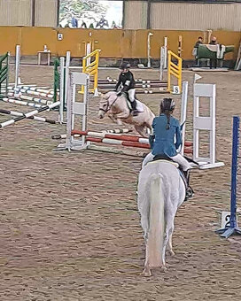 Pony S klisna 9 let 114 KVH – drezura/parkur/ZZVJ/výstavy/le - 4
