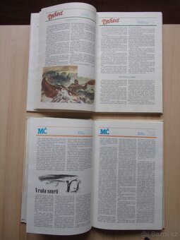 ZLATÉ ÚDOLÍ, OHNIVÉ ZNAMENÍ - příběhy ze starých časopisů - 4