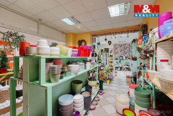 Pronájem květinářství, 133 m², Třemošná, ul. Plzeňská - 4