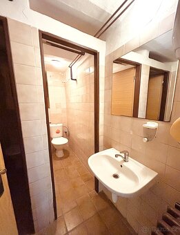 Pronájem nebytových prostor - 4