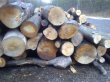 Prodám palivové dřevo (buk, dub) - 4