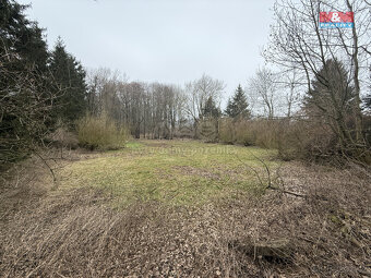 Prodej vodní plochy, 5965 m², Rychnov nad Kněžnou - 4
