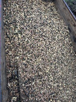 Drevni Stepka-Jabloň - 4