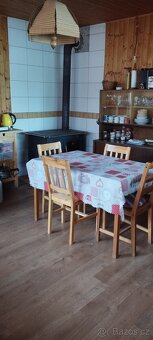 Velké Bílovice-pronájem chaty s loďkou - 4