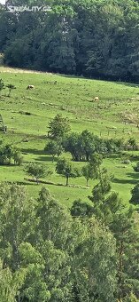 PRODÁM 1+1,40m2,Luhačovice,Zahradní čtvrť 912 - 4