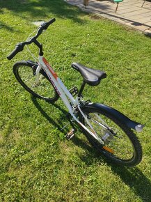 Prodám dívčí kolo DEMA vel. 24 - 4