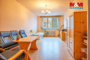 Prodej bytu 2+1, 56 m², Strakonice, ul. Sv. Čecha - 4